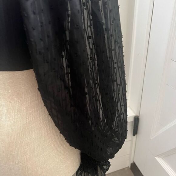 Urban Outfitters Gorgeous Black Top with Shear Gorgeous Detail Sleeves Small - Picture 9 of 16